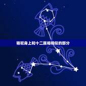 骆驼身上和十二属相相似的部分，人们都说骆驼身上长有12牲肖的特征，谁能