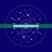 屠猪婚姻与屠虎婚配好吗，明天屠猪男的和屠狗女的去相亲能不能成几点相最好