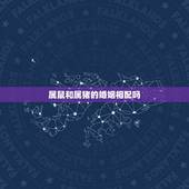 属鼠和属猪的婚姻相配吗，属猪与属鼠相配吗