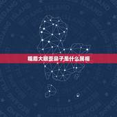 粗眉大眼歪鼻子是什么属相，粗眉大眼歪鼻子是什么生肖