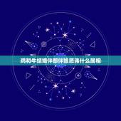 鸡和牛结婚伴郎伴娘忌讳什么属相，属猪的和属牛的结婚当天忌什么属相