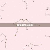 属兔的今天运势，属兔的是，什么时候运气最好