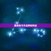 属虎的今天运势和财运，属虎2022 年今日财运