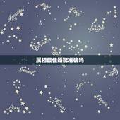 属相最佳婚配准确吗，属狗的最佳配偶属相