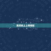 属虎的上上等婚配，属虎2022 年运势及运程