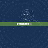吃鸡幽默情侣名，绝地求生好听的情侣名字