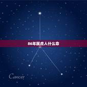 86年属虎人什么命，1986年的2月虎属于什么命
