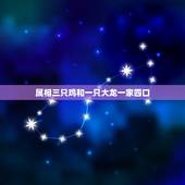 属相三只鸡和一只大龙一家四口，一家四口属相鸡兔龙猪合不合？