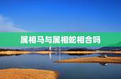 属相马与属相蛇相合吗，马和蛇属相相配吗