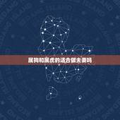 属狗和属虎的适合做夫妻吗，属虎的人和哪个属相结婚最合适