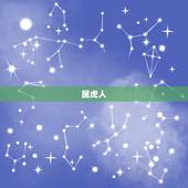 属虎人，属虎的人适合找属什么属相的人