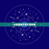 水瓶座脑子是不是有病，是不是水瓶座的人智商就一定很高？