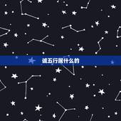 诚五行属什么的，诚字几笔，五行中属什么