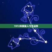 1972年属鼠人今天运势，1978年属马人2022 年运势