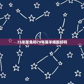 75年属兔和79年属羊婚配好吗，1979年属羊人2022 年运势运程