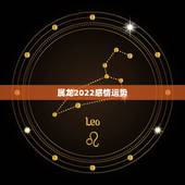 属龙2022感情运势，属龙2021感情和桃花运
