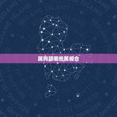 属狗跟哪些属相合 属牛和属狗的合得来吗