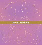 独一无二的小名男孩，小名大全女孩霸气小名