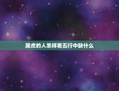 属虎的人怎样看五行中缺什么，1986年属虎五行缺什么