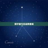 狮子座今日运势查询，狮子座今日运势