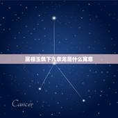 属相玉佩下九条龙是什么寓意，属相龙带什么生肖的玉佩最有利