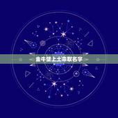 金牛壁上土命取名字，壁上土命起什么乳名好