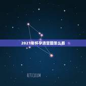 2021年怀孕清宫图怎么看，请问闰月年怎么看清宫图