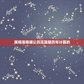 属相是根据公历还是阴历年计算的，属相应该按阴历还是阳历啊？