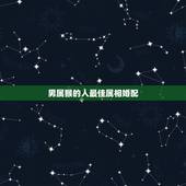 男属猴的人最佳属相婚配，男属猴的属相婚配表 属猴男生跟什么属相的女生恋