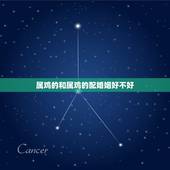 属鸡的和属鸡的配婚姻好不好，属鸡的和属鸡的婚配好不好