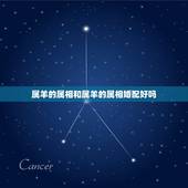 属羊的属相和属羊的属相婚配好吗，请问大师，本人属羊1979年阴历10月