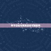 甲子日柱与丙寅日柱可婚配吗，丙寅日柱和什么日柱婚配