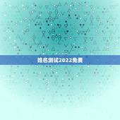 姓名测试2022免费，姓名测试打分