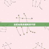女蛇和男虎相配好不好，男虎和女蛇属相合不合