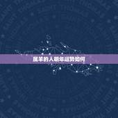 属羊的人明年运势如何，1991年12月初3属羊的明年运势
