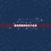 属龙和属鸡的合不合适，属龙和属鸡的人在一起好不好