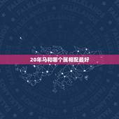 20年马和哪个属相配最好，78年属马在事业上和什么属相相配