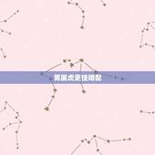 男属虎更佳婚配，属虎的婚姻配对更佳