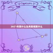 2021年属什么生肖属相属什么，2021年24岁属什么生肖，2021年