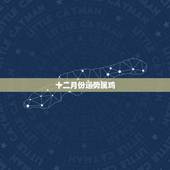 十二月份运势属鸡，看属鸡的女人十二月生人的运气