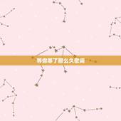等你等了那么久歌词，等你等得那么久歌词