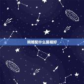狗婚配什么属相好，狗跟什么属相配最好