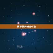 属羊跟鸡相合不合，属羊和属鸡的合婚吗