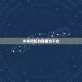 牛年和蛇的属相合不合，属相牛和蛇能在一起合适吗？