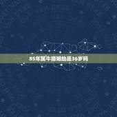 85年属牛婚姻劫是36岁吗，85年属牛的属相婚配表