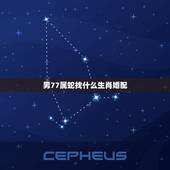 男77属蛇找什么生肖婚配，77年属蛇和什么属相在一起合适一点