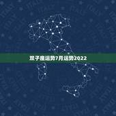 双子座运势7月运势2022，双子座本月运势？