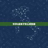 怀孕b超单子怎么看数据，B超检查报告应该怎么看，这些数据信息都代表什么