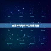 在家养乌龟有什么忌讳没有，家里养乌龟有什么讲究？