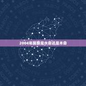 2004年属猴是水命还是木命，2004年属猴是什么木命人